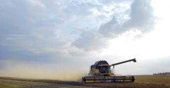 Changement climatique